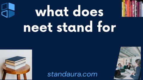 what does neet stand for
