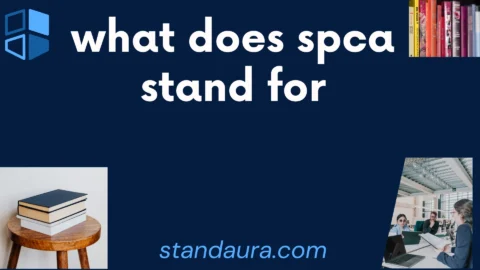 what does spca stand for