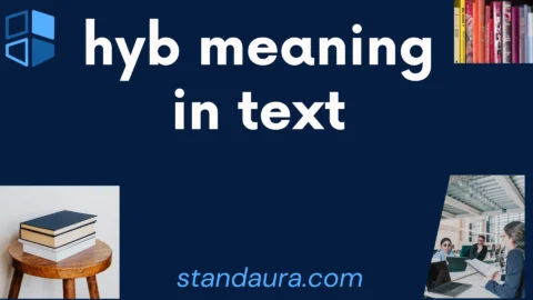 hyb meaning in text