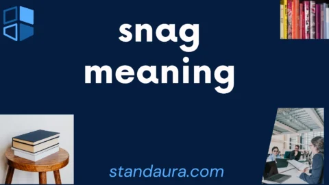 snag meaning