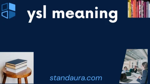 ysl meaning