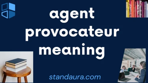 agent provocateur meaning