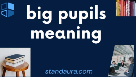 big pupils meaning