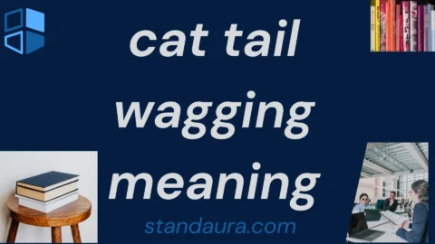 cat tail wagging meaning