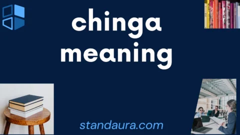 chinga meaning