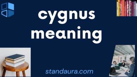 cygnus meaning