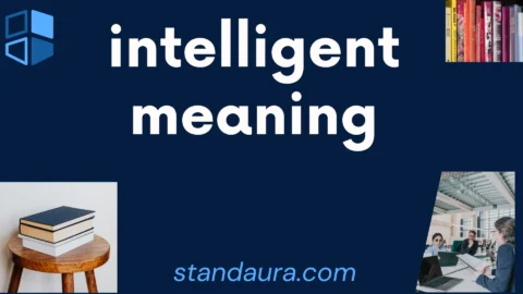 intelligent meaning