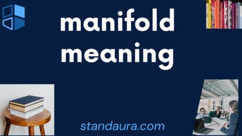 manifold meaning