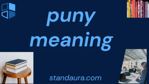 puny meaning