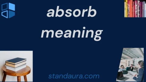 absorb meaning