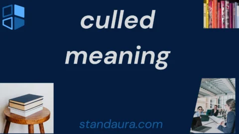 culled meaning
