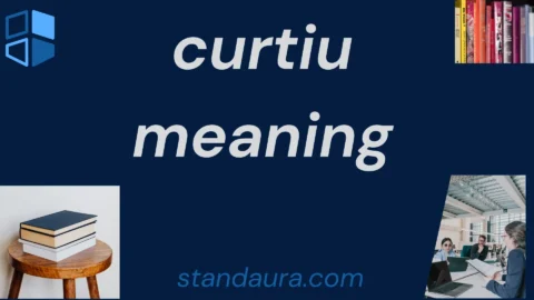 curtiu meaning