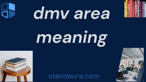 dmv area meaning