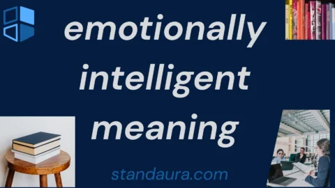 emotionally intelligent meaning