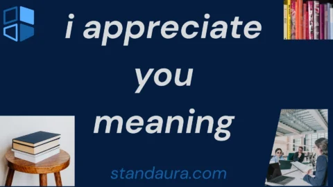 i appreciate you meaning