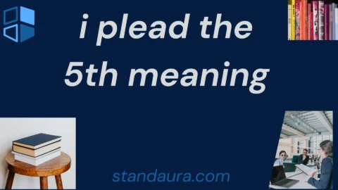 i plead the 5th meaning