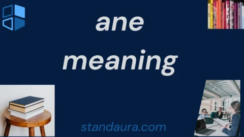 ane meaning