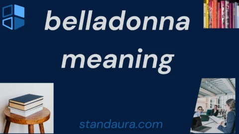 belladonna meaning