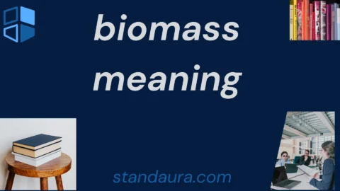 biomass meaning