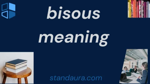 bisous meaning