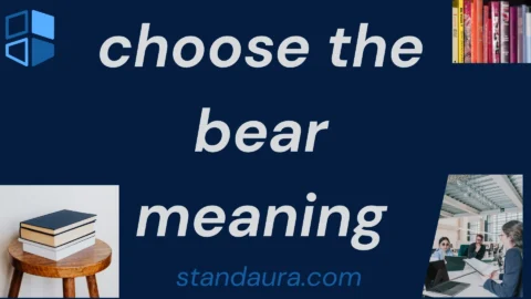 choose the bear meaning