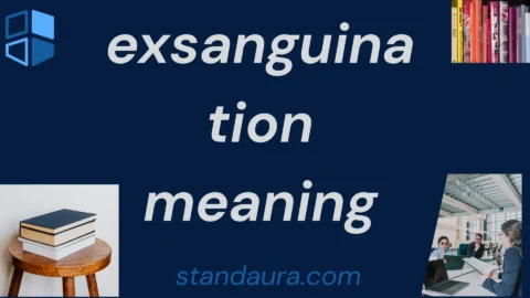 exsanguination meaning