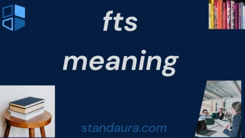 fts meaning