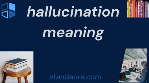 hallucination meaning