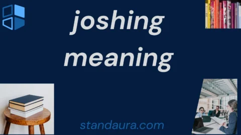 joshing meaning