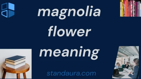 magnolia flower meaning