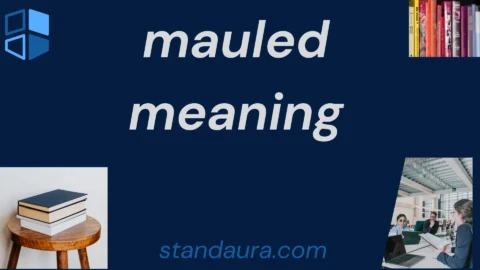 mauled meaning
