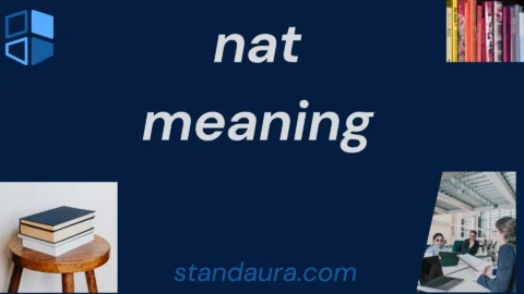 nat meaning