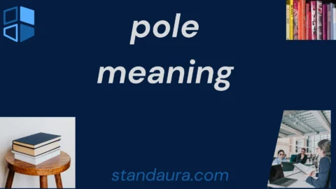 pole meaning