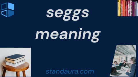 seggs meaning