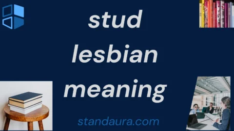stud lesbian meaning