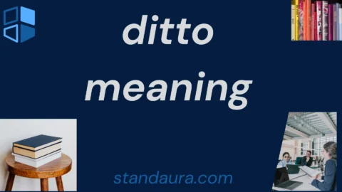 ditto meaning