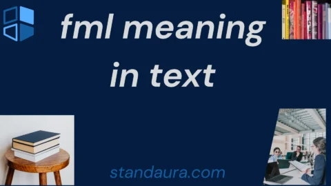 fml meaning in text