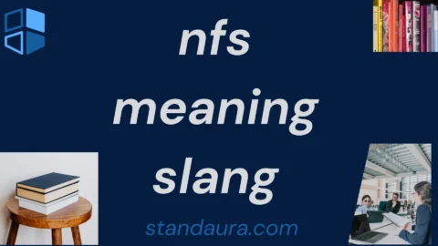 nfs meaning slang