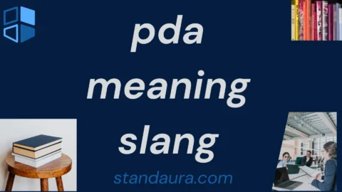 pda meaning slang
