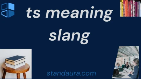 ts meaning slang