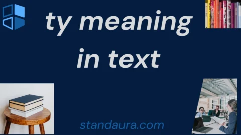ty meaning in text