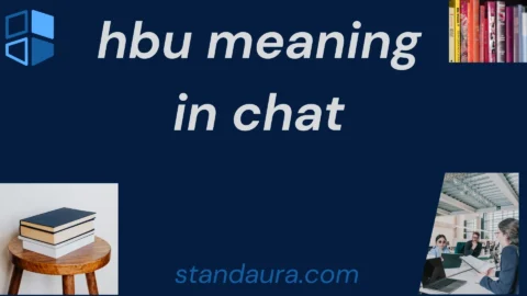 hbu meaning in chat