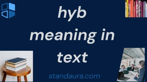 hyb meaning in text