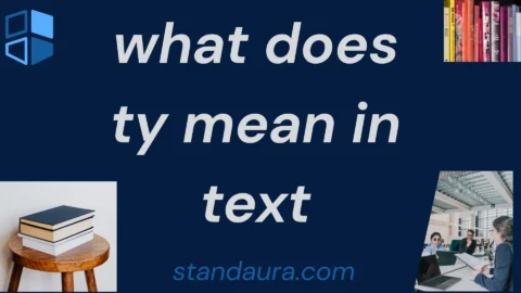 what does ty mean in text