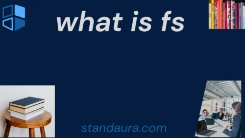 what is fs