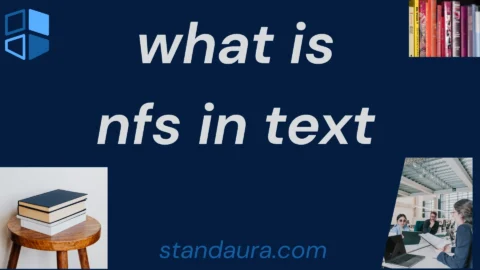 what is nfs in text