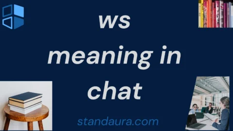 ws meaning in chat